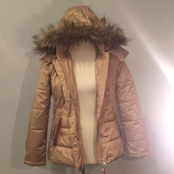 Jacket - Picture 4 of 6